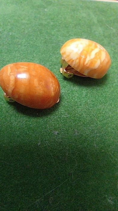 Продам кліпси пейзажний бурштин СРСР