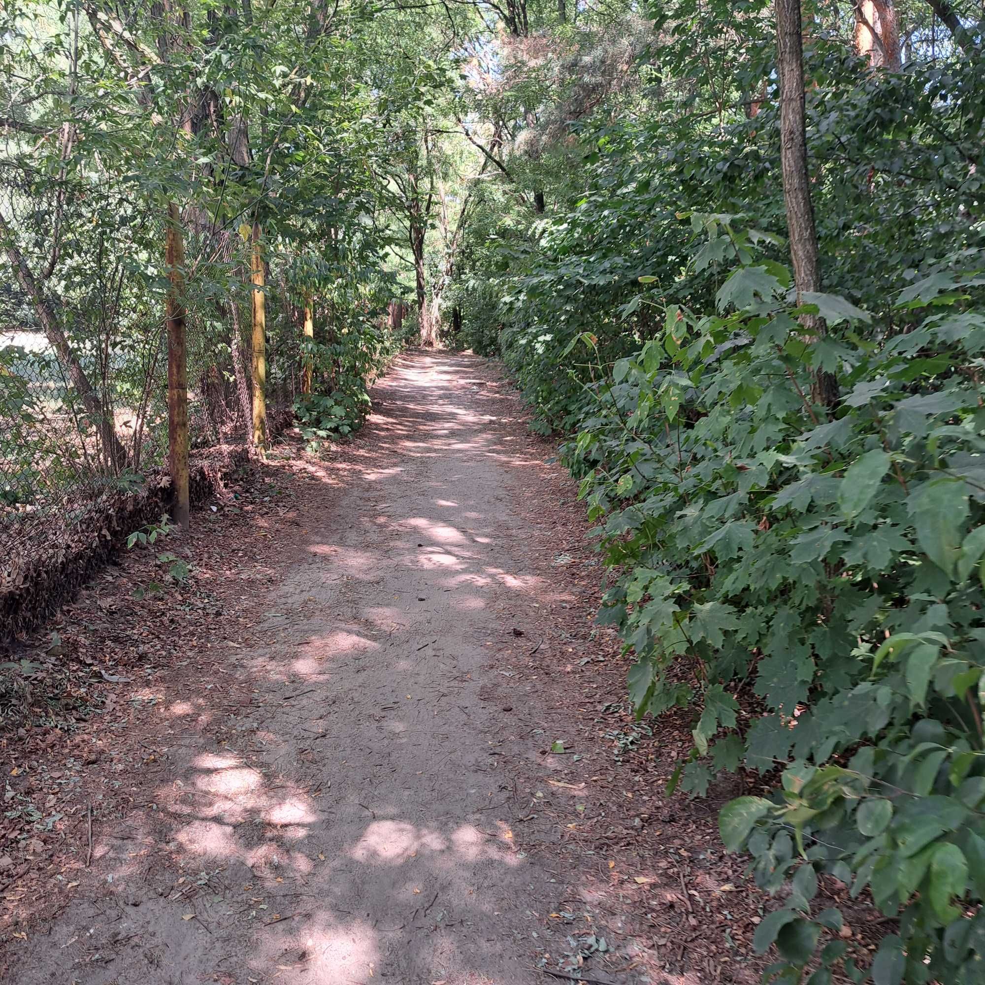 Domek nad jeziorem Krasne