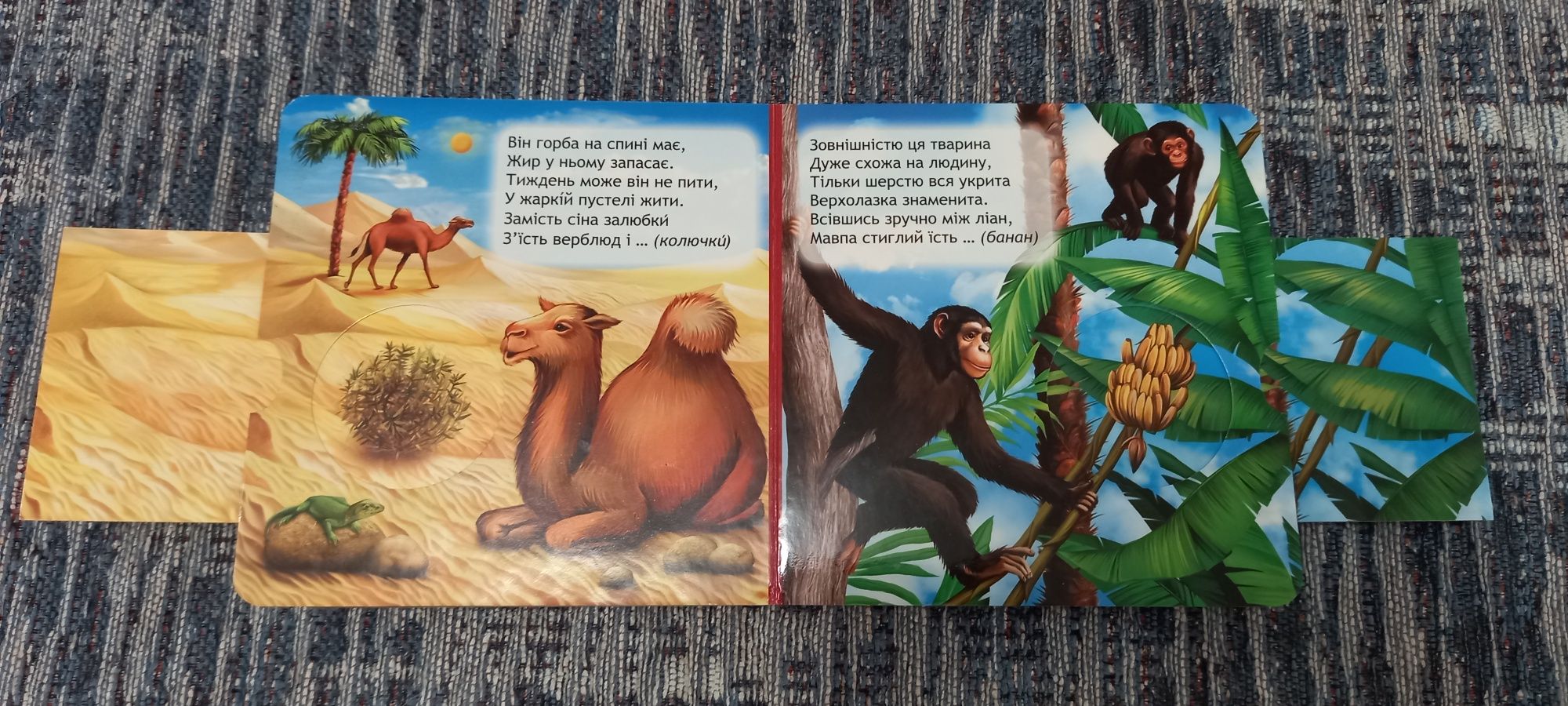 Книжка-схованка "Що у кого на обід?", Федієнко