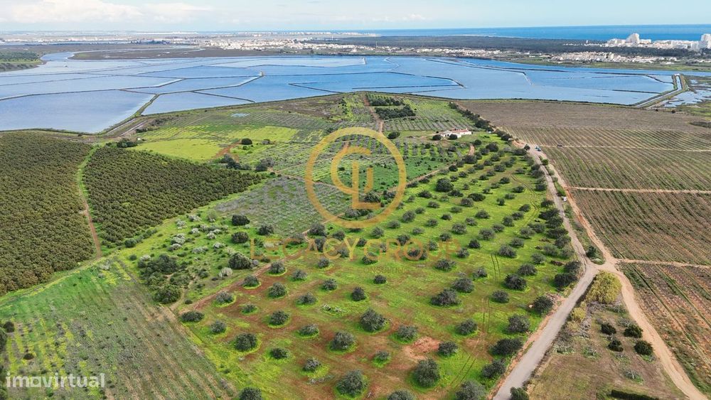 Quinta Sapal de Castro Marim