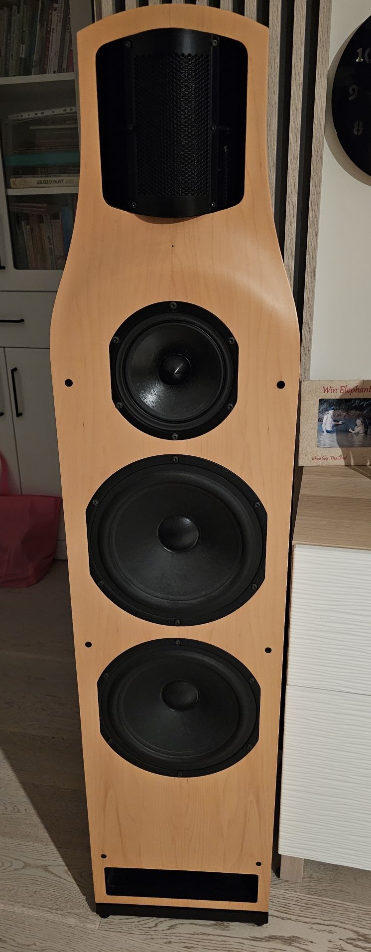 Kolumny T+A criterion TCI 1RE unikat