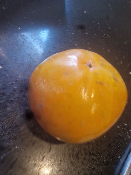 Vende-se Diospiros ao kilo caseiros