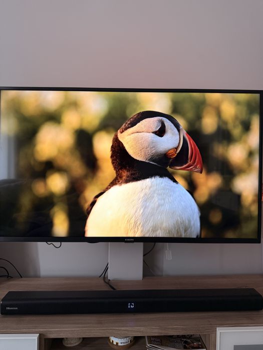 Xiaomi P1E Smart TV 4K 43"