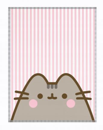 Dziecięcy kocyk Pusheen 130x160 cm różowy paski