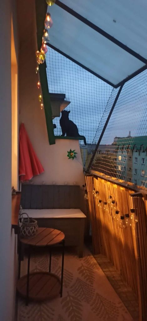Cały Śląsk, siatka na balkon, siatka dla kota, siatka przeciw ptakom