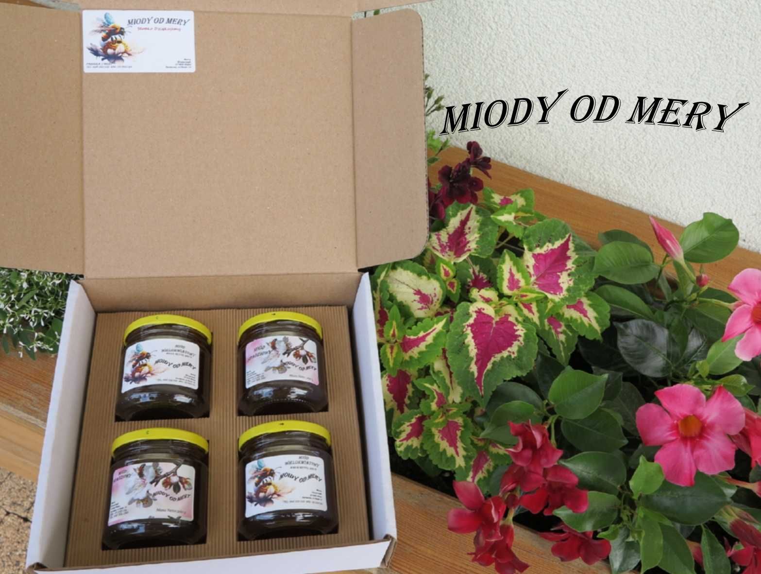 Zestaw Prezentowy Mini Mix 3 x50g Owocowe Degustacyjne Smaczki Miodowe