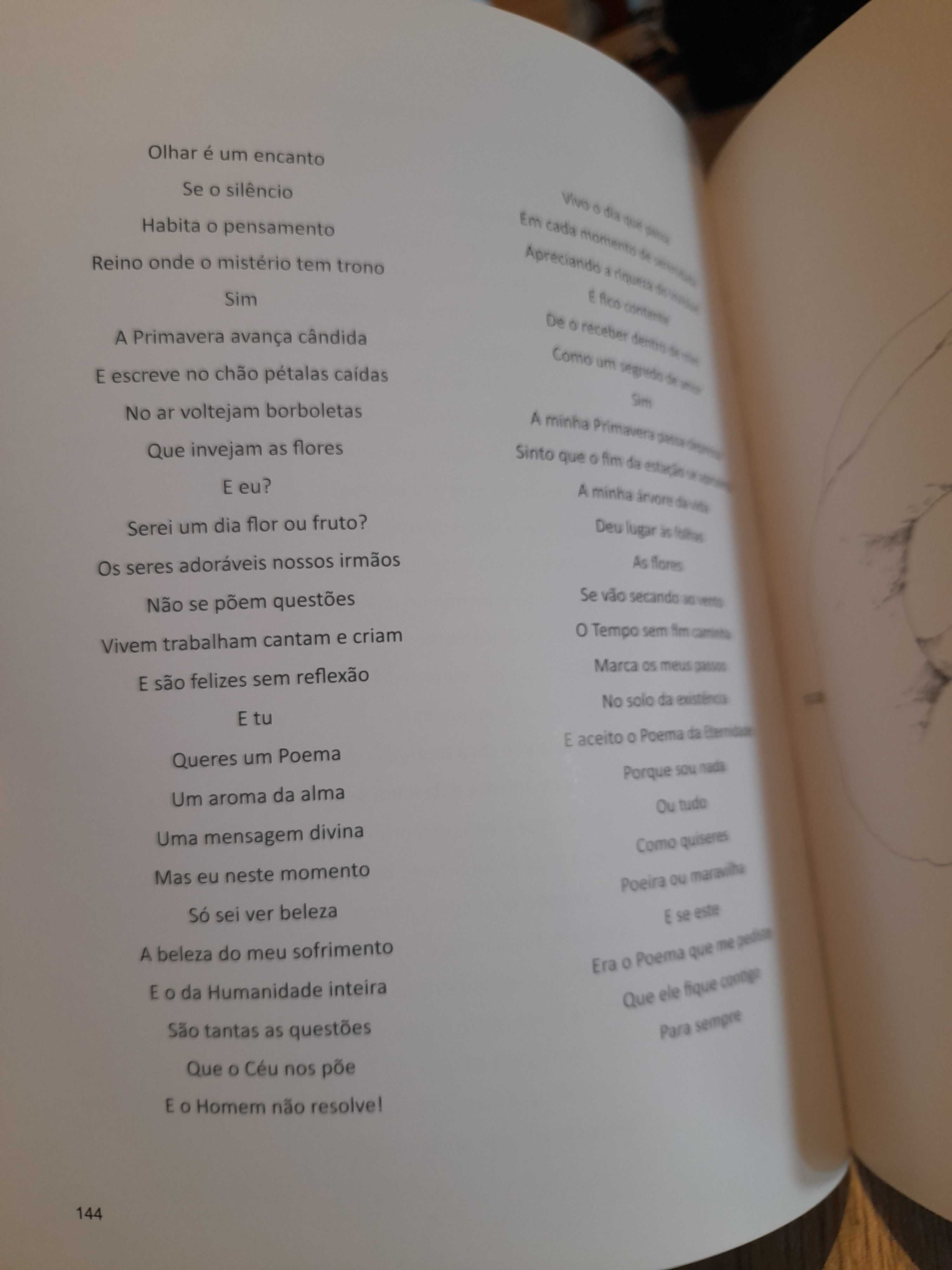 Poesia do instante