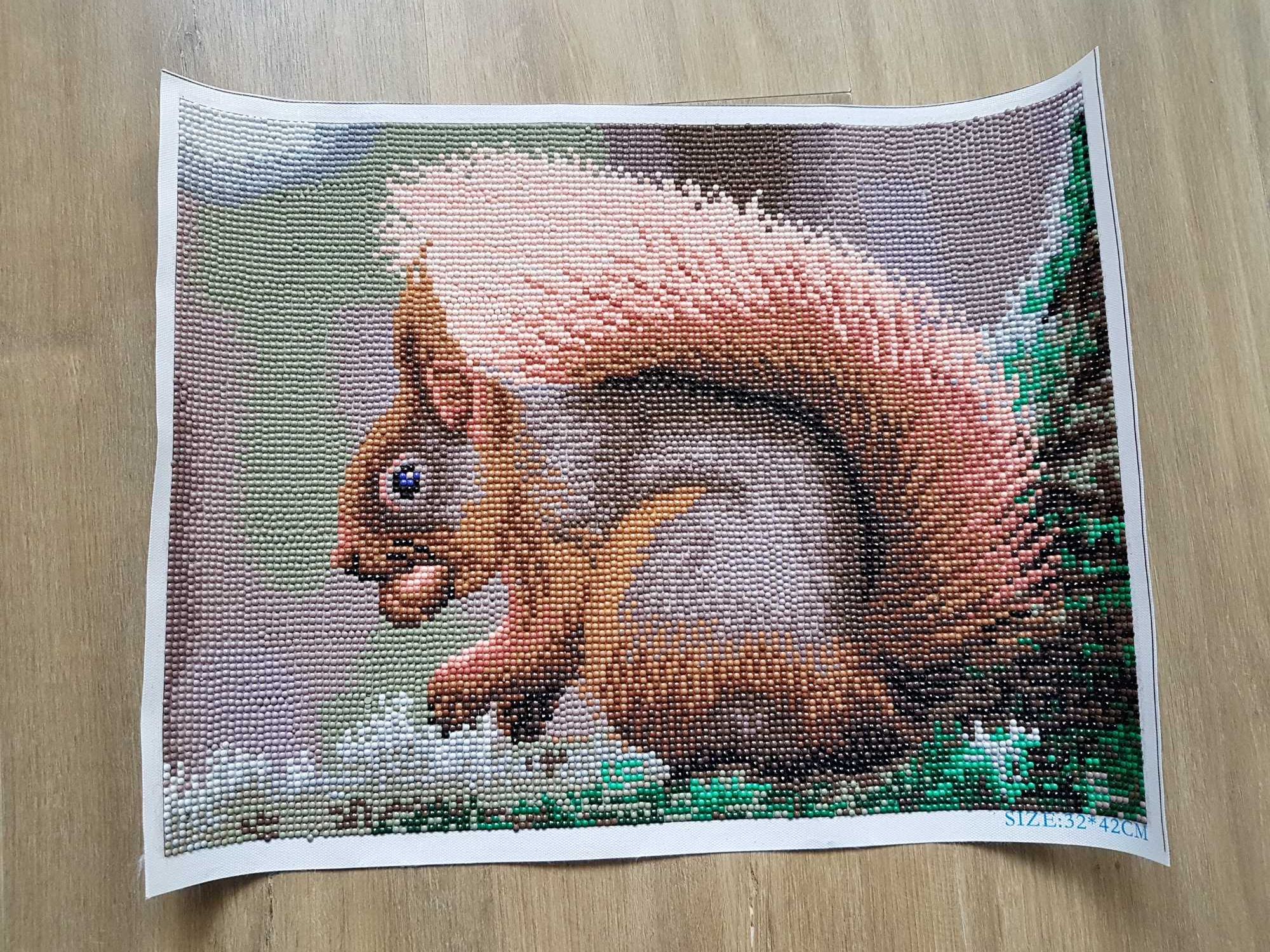 Gotowy obraz haft diamentowy Wiewiórka 30x40cm