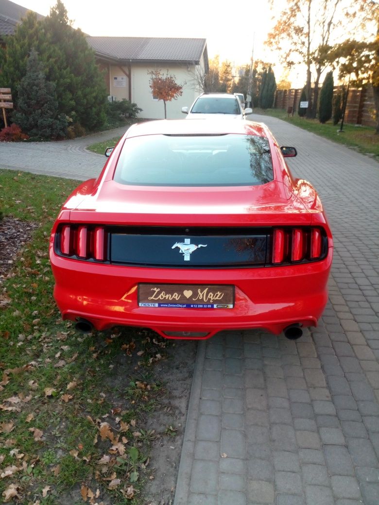 Bus 9 osób wynajem ślub wesela imprezy ok. + MUSTANG do ślubu