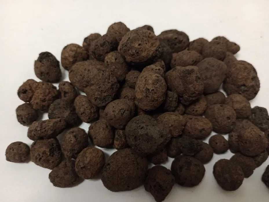 Keramzyt 1 l wkład biologiczny do akwarium terrarium drenaż