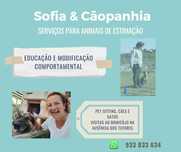 Sofia&Cãopanhia - Educação, treino canino, pet sitting domicílio tutor
