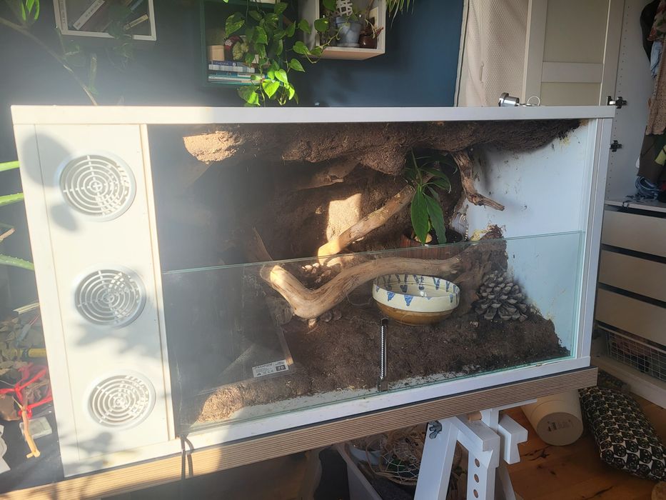 Terrarium 60x43x46