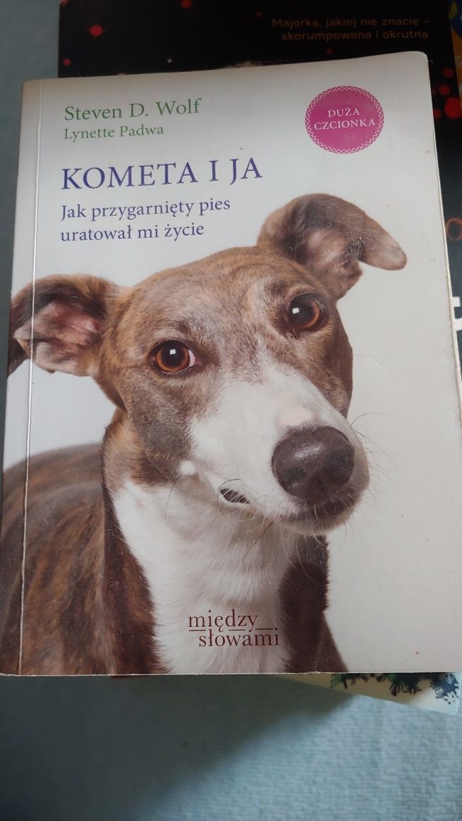 Kometa i ja, Steven D. Wolf