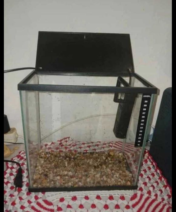 Aquário peixes..
