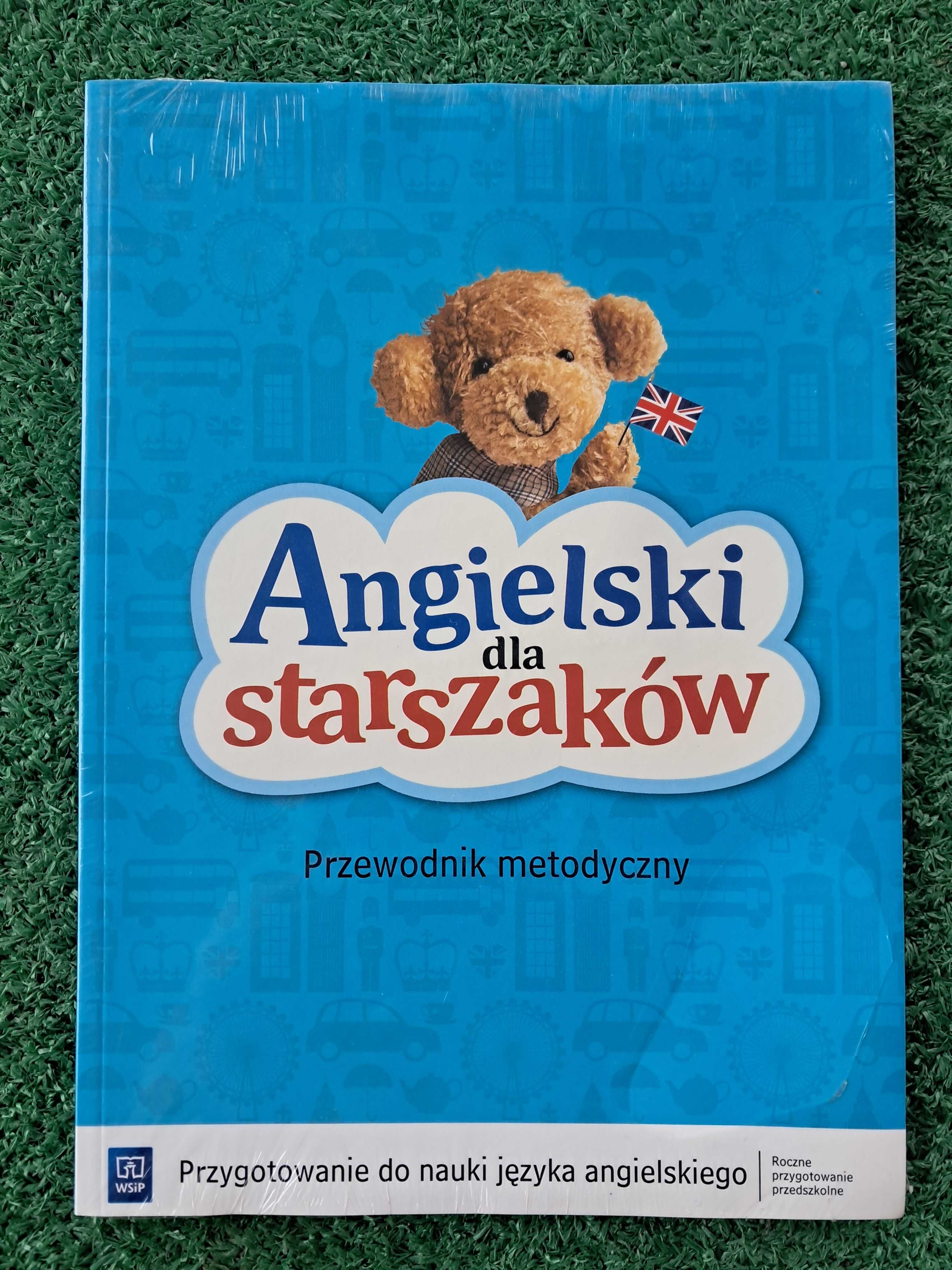 Angielski dla starszaków WSiP Przewodnik metodyczny płyta CD