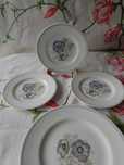 Spodek Wedgwood Glen Mist rzadki wzór 3szt