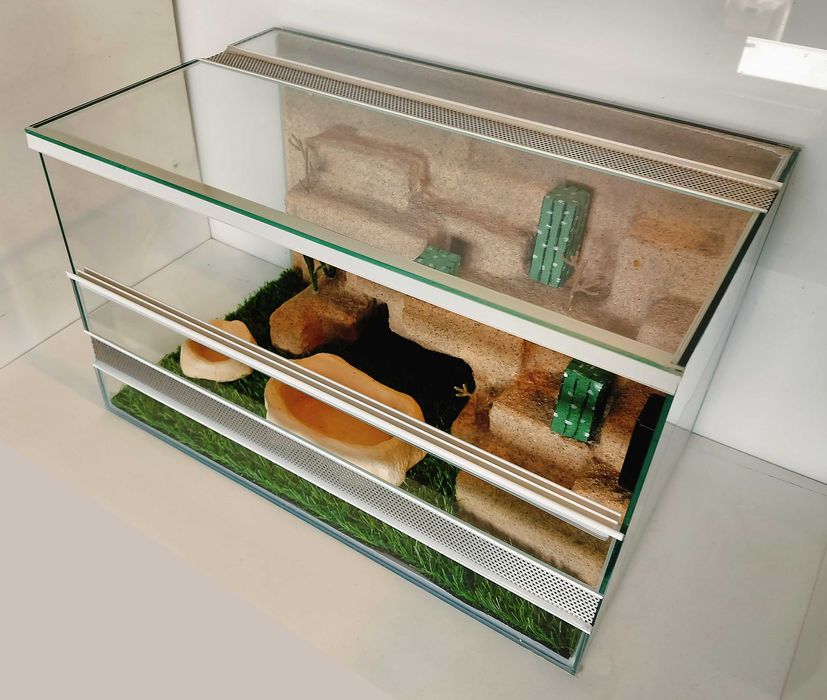 Terrarium pustynne dla gekona lamparciego, regiusa, TW42P2ML AquaWaves