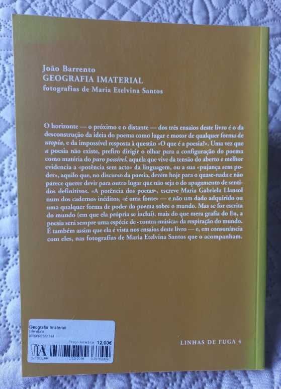Geografia Imaterial; 3 Ensaios sobre a Poesia - João Barrento