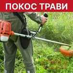 Покос трави на ваших ділянках