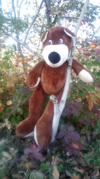 Wielki pluszowy miś pies 160 cm