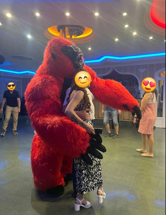 Мишка,панда,поздравление,ведмідь,вітання,білий,стриптизер,пес Патрон,