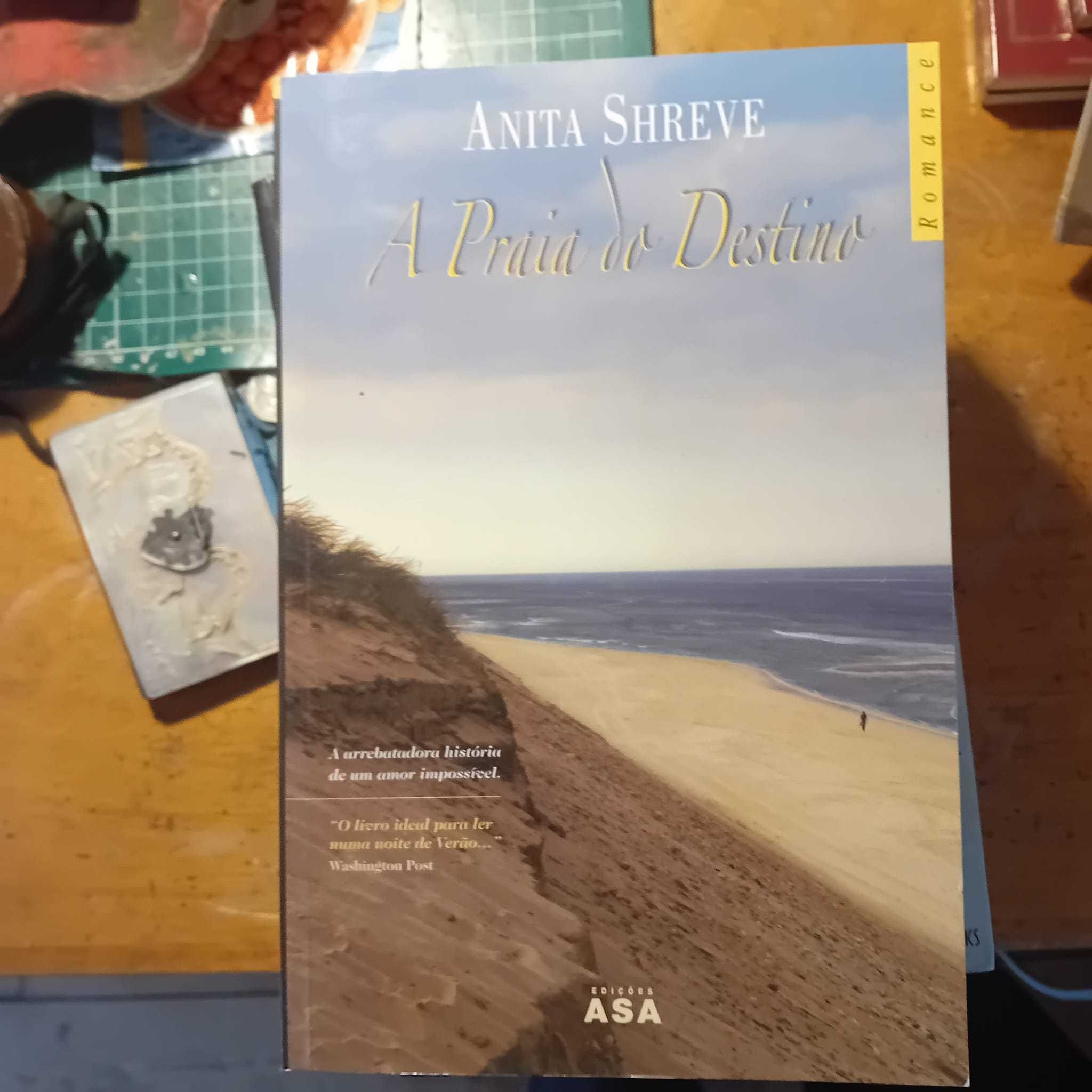 Anita Shreve, A Praia do Destino