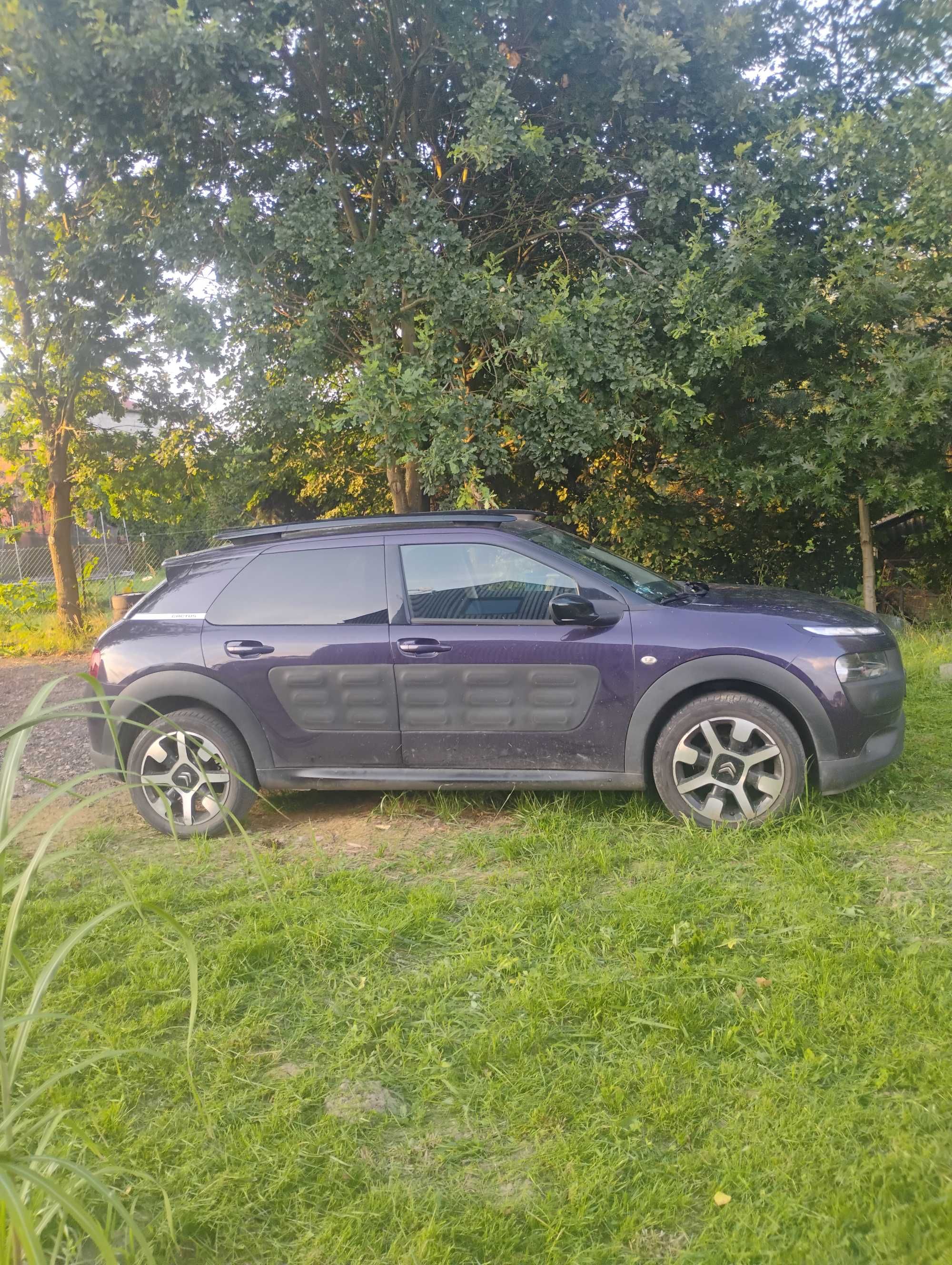 Citroen C4 cactus