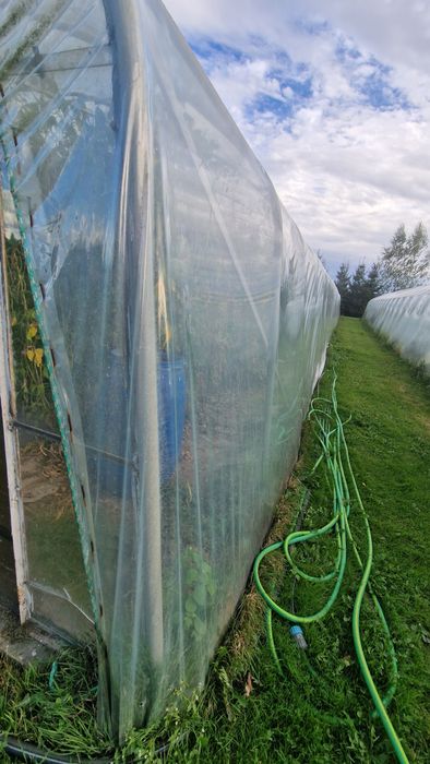 Tunel foliowy, folia, 30m