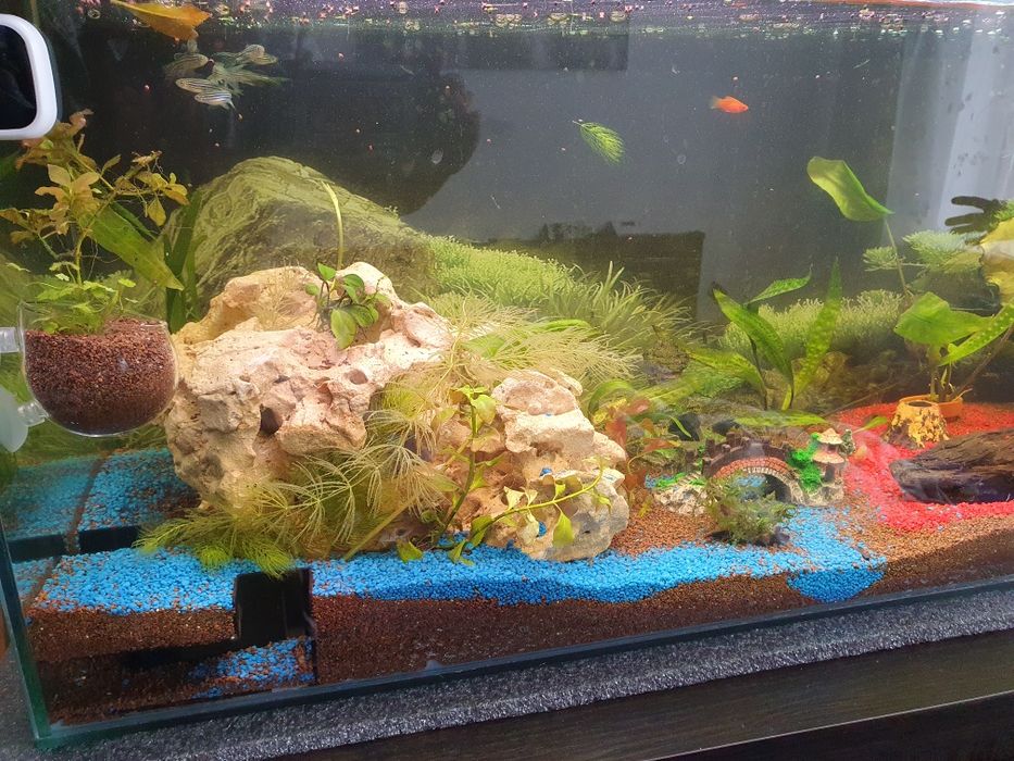Akwarium 110 x 30 x 35