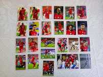 Autocolantes Fome de vencer - Panini - Continente