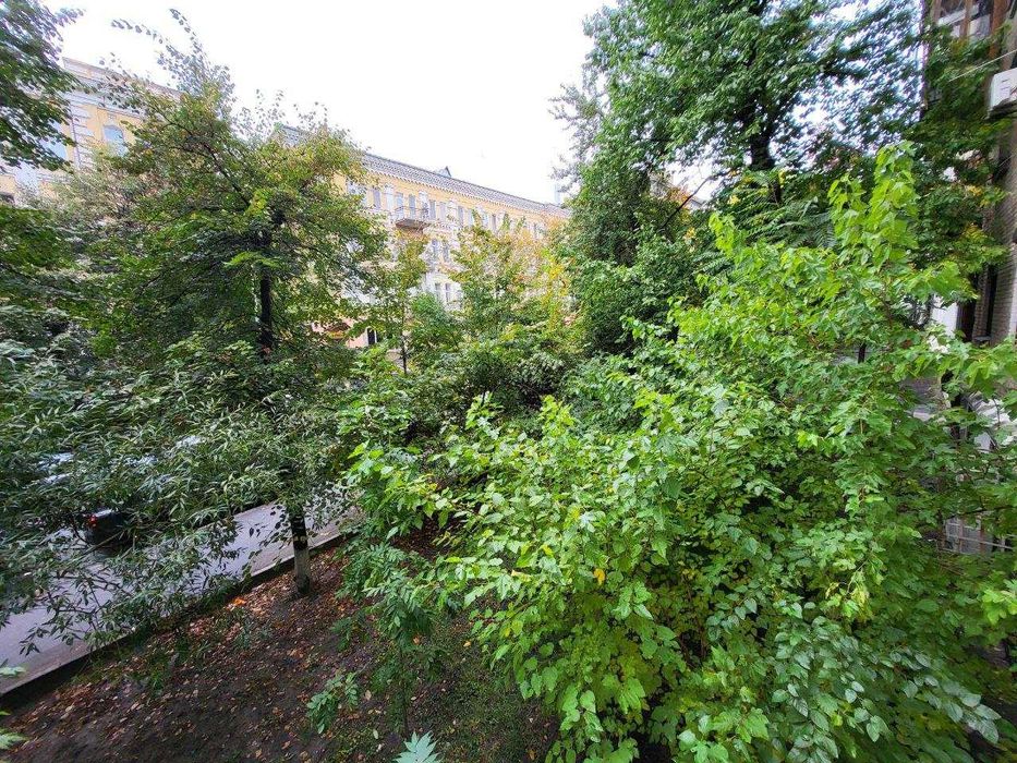 2-к Тарасівська, 3, Голосіївський центр Ботанічний сад