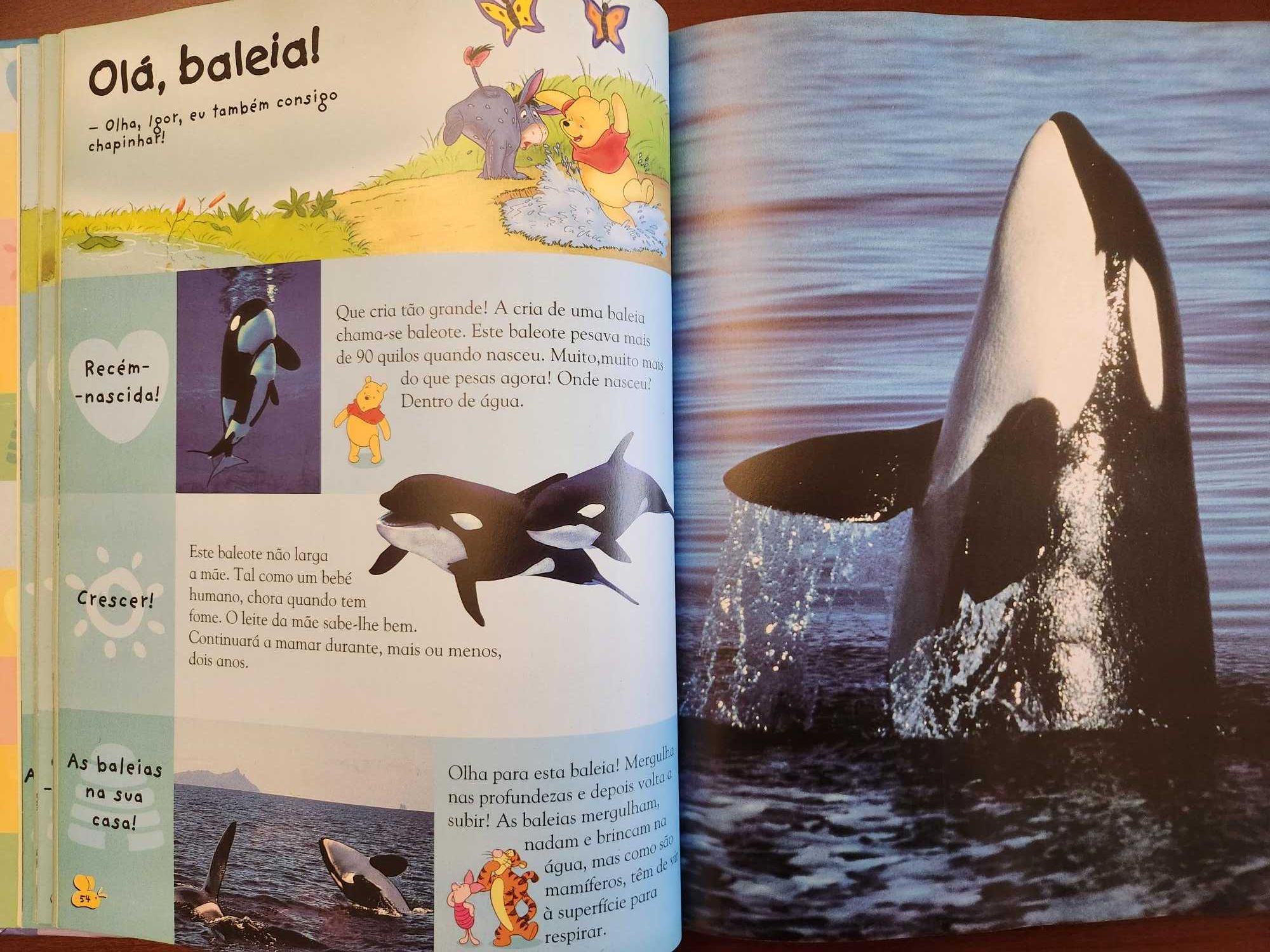 Livro infantil "A Minha Primeira Enciclopédia - Animais" impecável