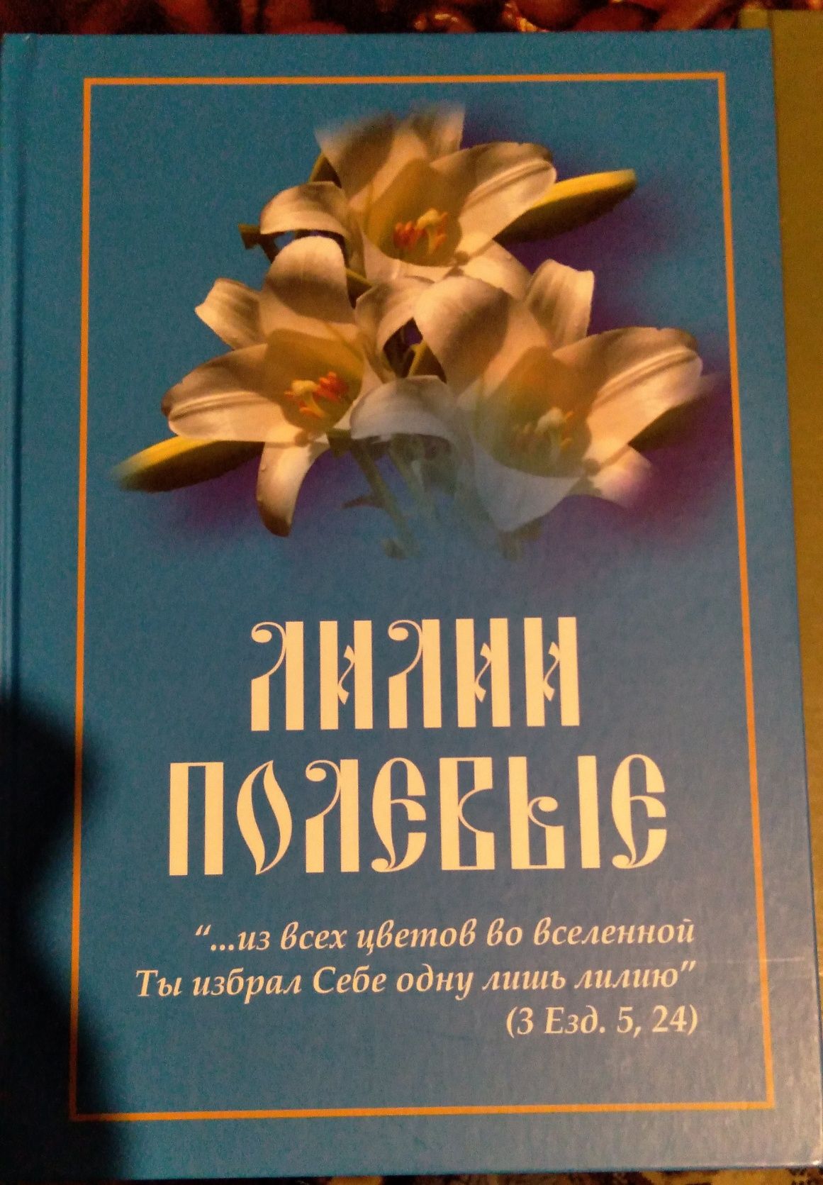 Книги о христианстве.