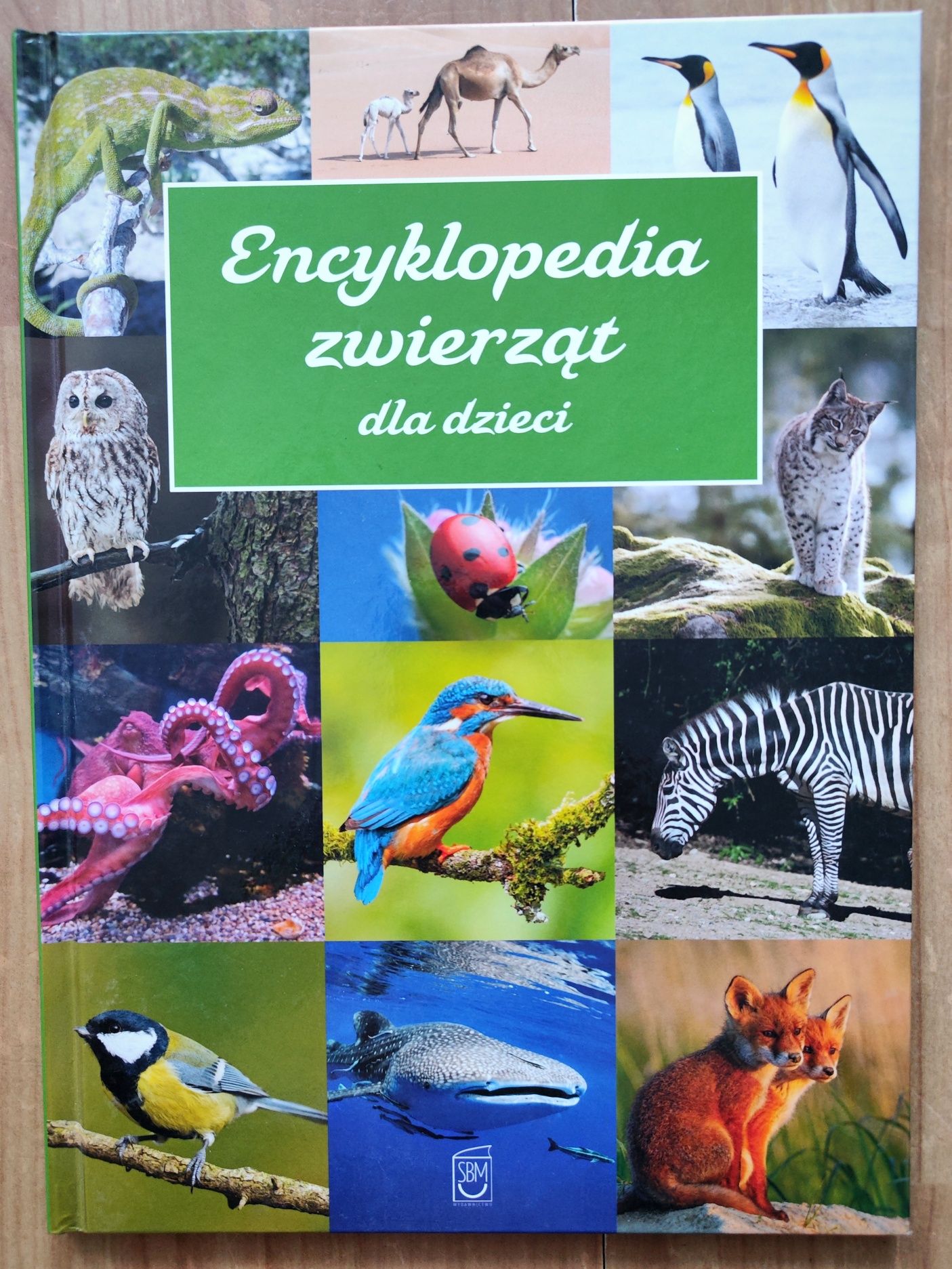 NOWA Encyklopedia zwierząt dla dzieci