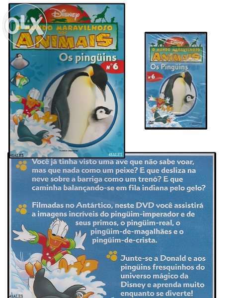 Vendo coleção completa o mundo dos animais