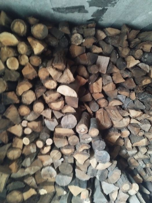 Drzewo dębowe sezonowane piec / kominek