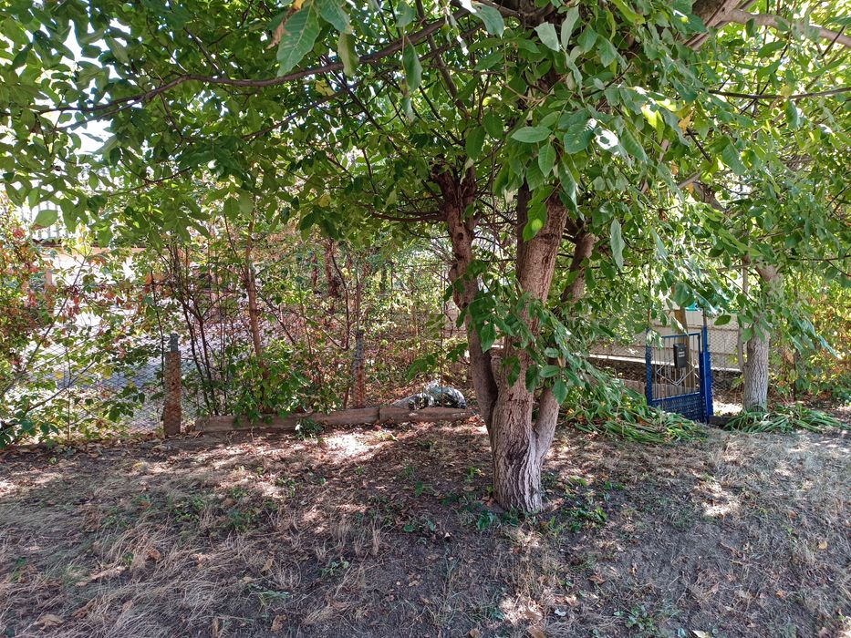 Дім (земельна ділянка)