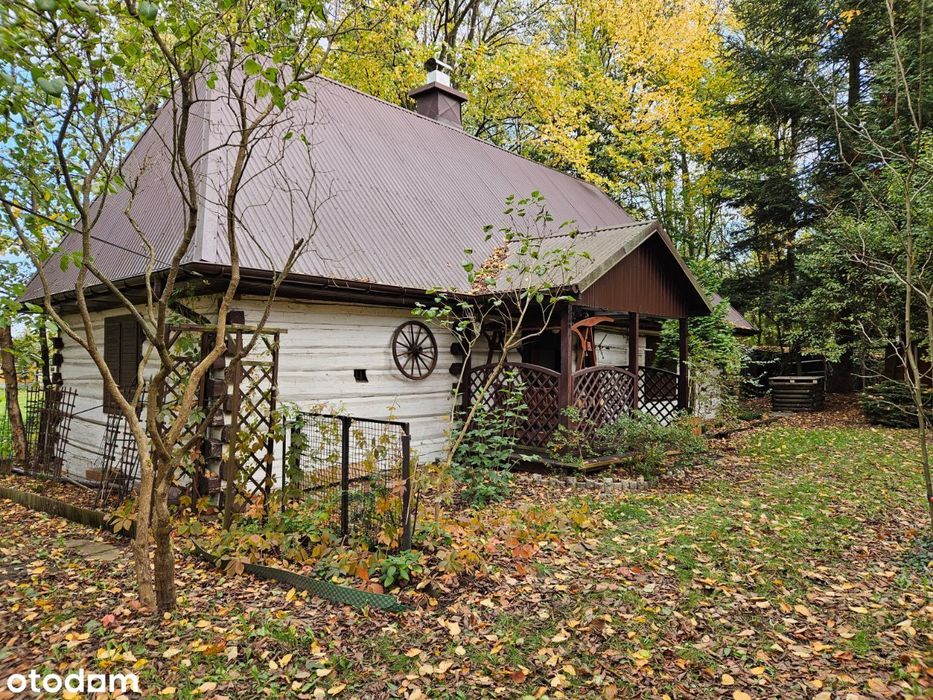 Dom z bali starodrzewie Sokołów Małopolski