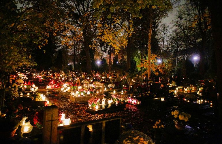 Sprzątanie grobów, nagrobków. Radom i okolice od 80zł