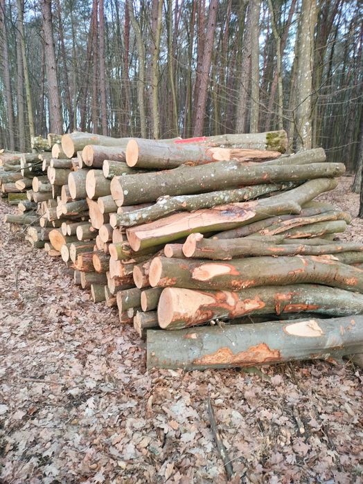 Drewno Opałowe i kominkowe