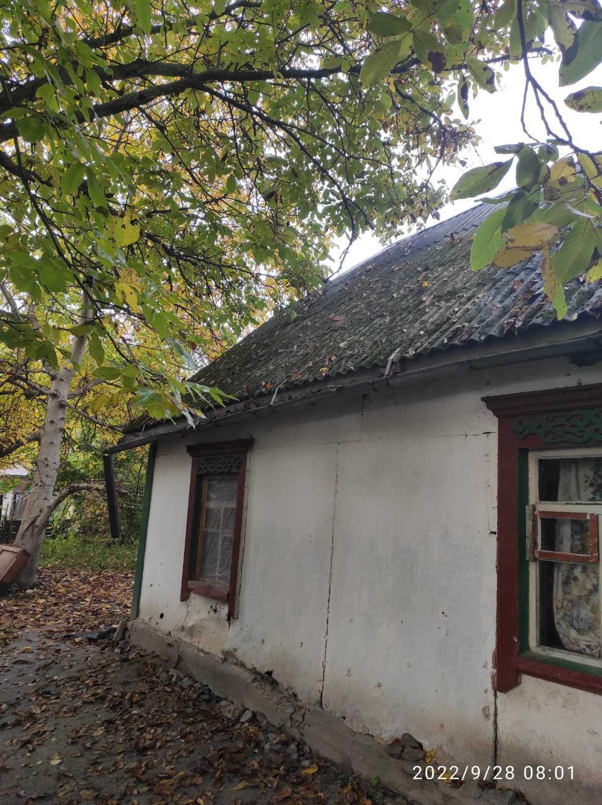 Будинок с.Велика Офірна. Хата