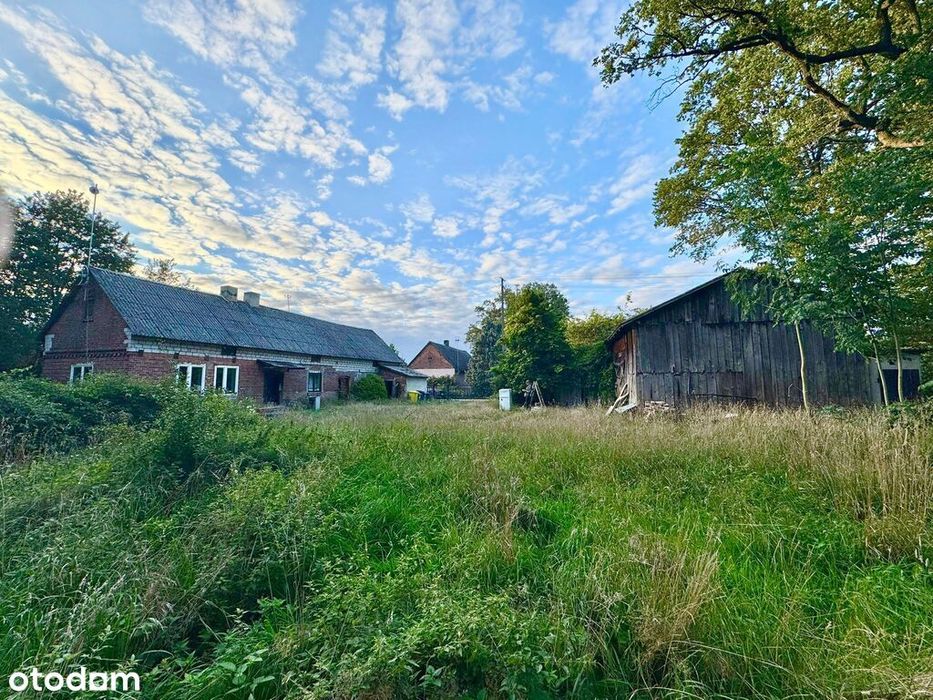 Malownicza działka z domkiem i starymi drzewami.