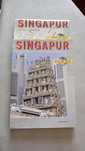 Singapur Guía e Mapa de Viaje (castelhano)