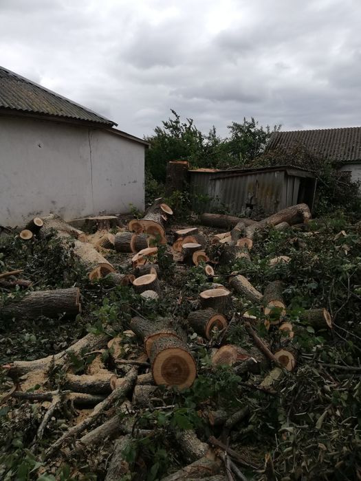 Спил деревьев,кронирование,обрезка веток.Дробление  веток на щепу.