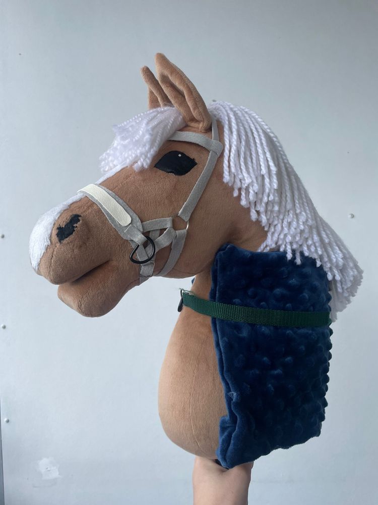 Hobby horse ze sprzętem