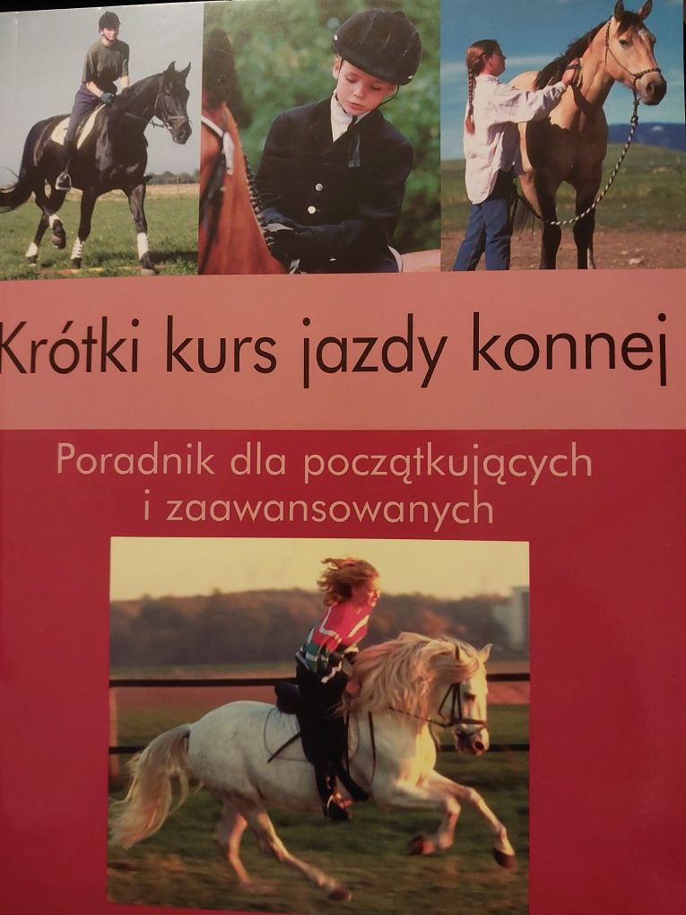 Kurs jazdy konnej