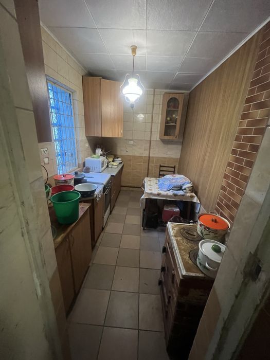 Калинка велика керниця