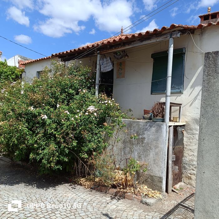 Casa pinheiro de coja
