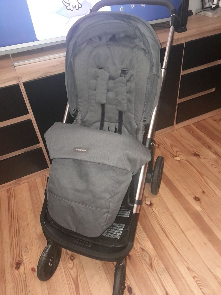 Inglesina aptica 2024