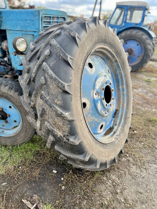 Продам Камера 15.5-38 13.6-38 На Трактор Мтз Юмз Т-40